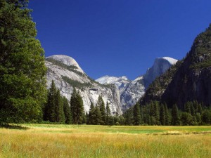 yosemite image